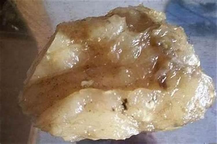 太岁泡水的正确方法