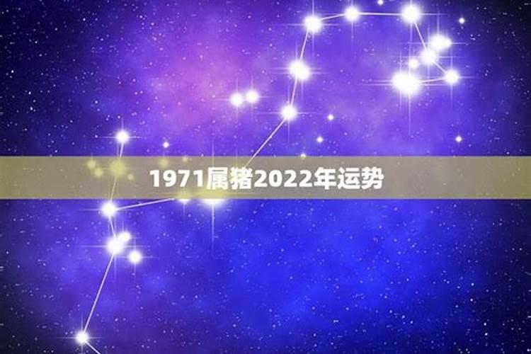 71年属猪男在2025年的全年运势