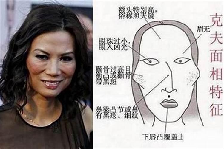 属猪的男人和什么属相最配
