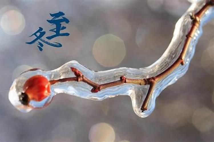 梦见邻居葬礼见棺材
