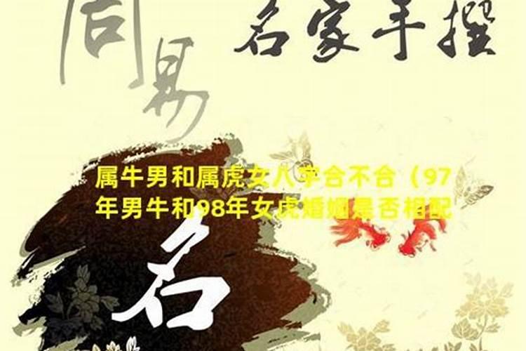 95猪男和98年虎女八字合不合