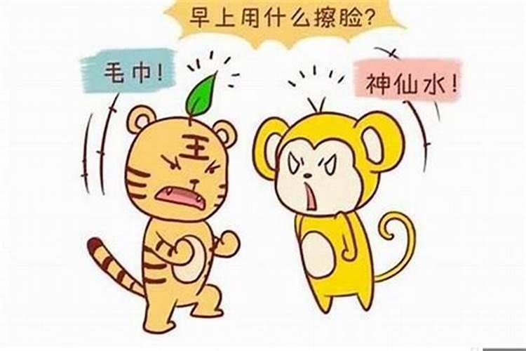 95猪男和98年虎女 95年猪和98虎八字合不合