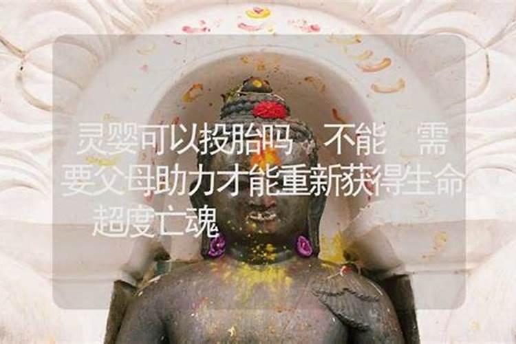清明节可以上坟吗