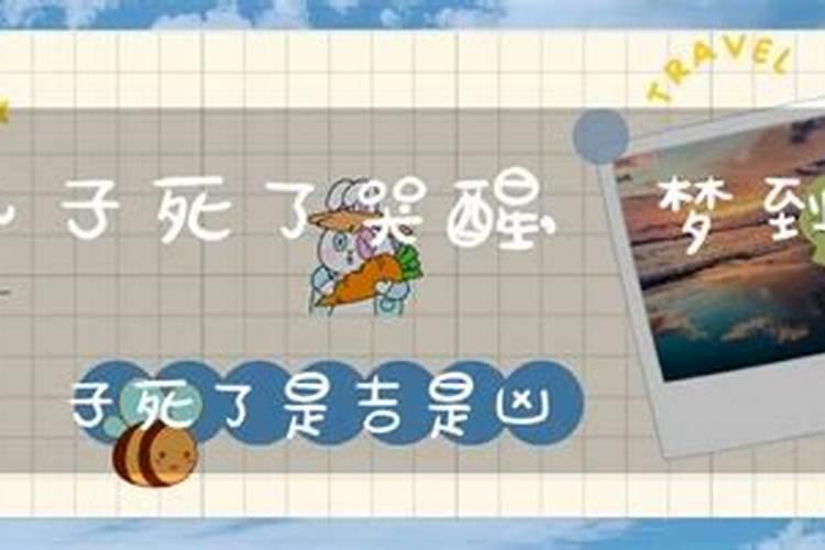 梦见自己背着儿子去某个地方、后来发现儿子死了、我大哭大喊、然后儿子...