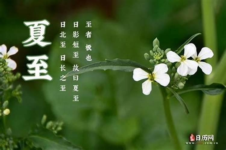 夏至是什么时候？