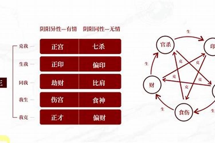 八字里的十神注解如何知道自己的十神