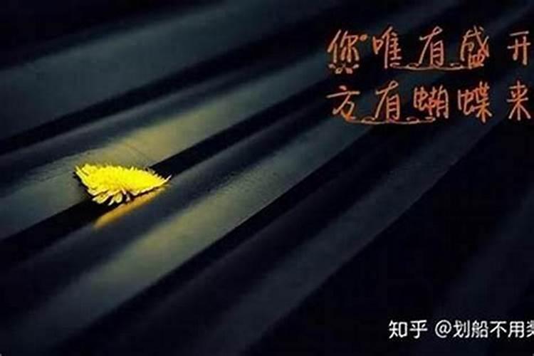 开口葫芦挂在家里什么位置好