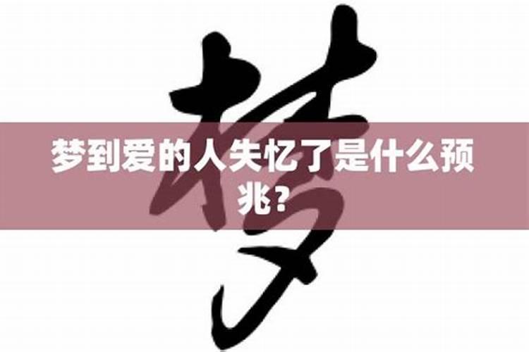 82年属狗人未来五年的运势和运程