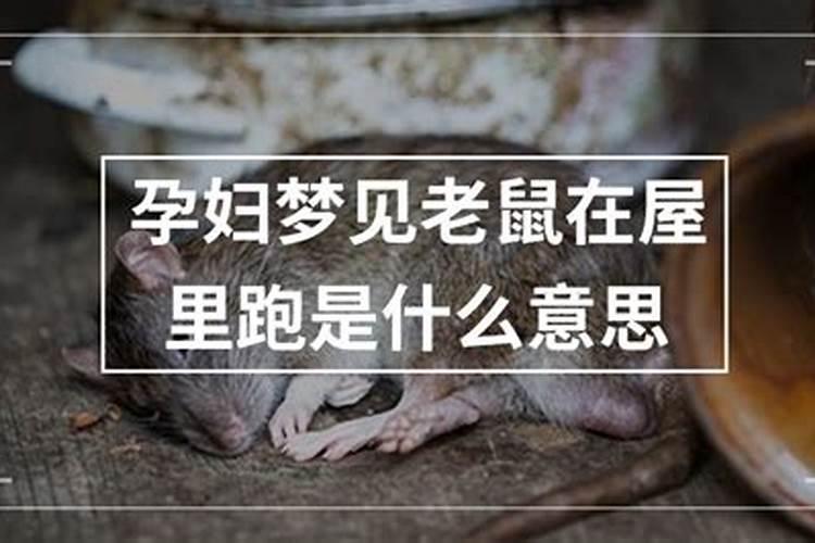 女人梦见老鼠是胎梦吗