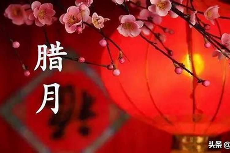 1988年腊月初二早上九点钟出生的女孩运势怎么样