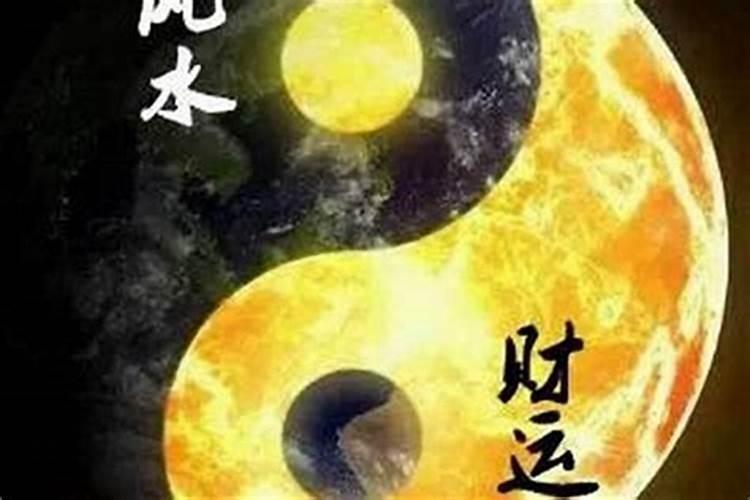 95年猪男2025的婚姻和事业运势