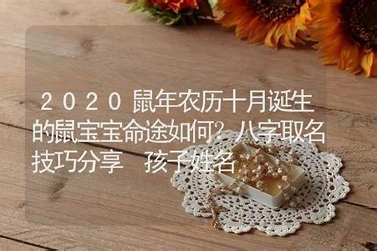 79年属羊的跟84年属鼠的大相合不合？