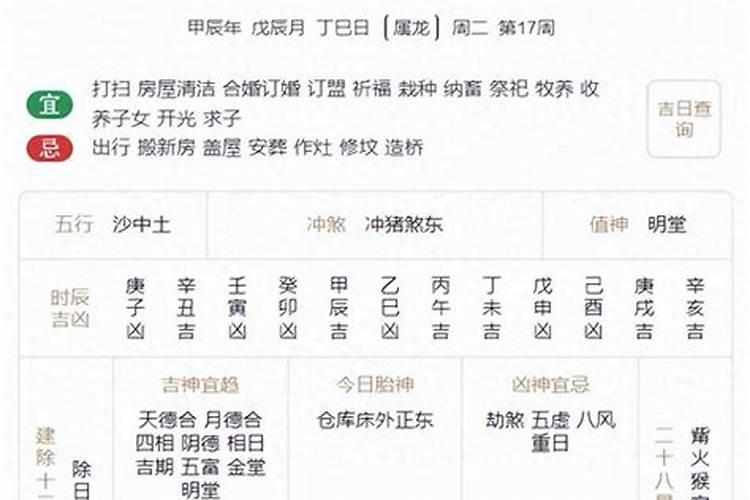神十五几点返回