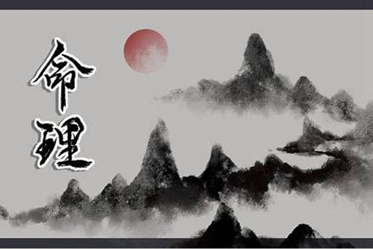 属狗几月生最好 很多人都不知道