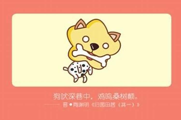 靠自己发财的女命八字
