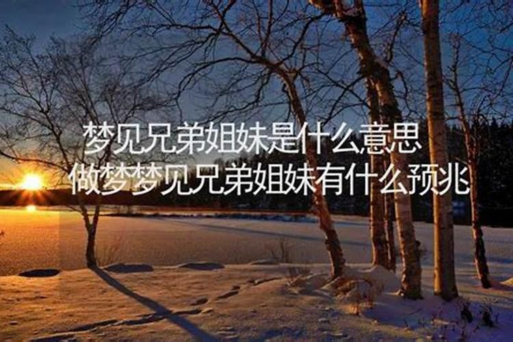梦见兄弟姐妹们聚在一同