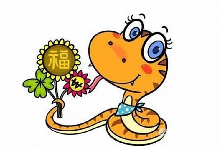 兔年出生的人命运,属兔的命运