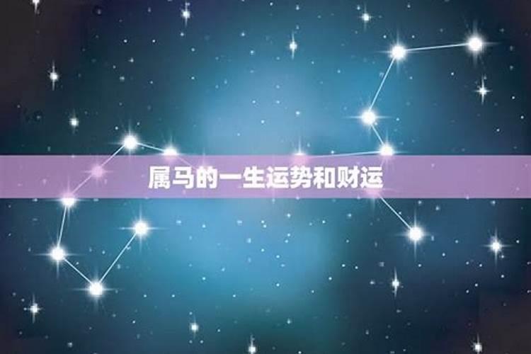 属马的人蛇年运势如何