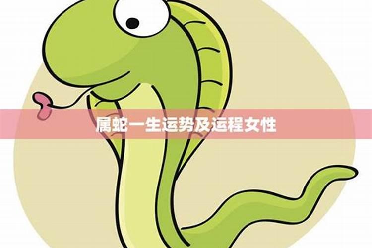 蛇年属马的运势怎么样2025