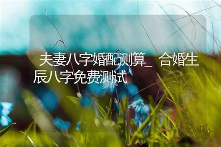 梦到与死人握手交谈预示着什么意思