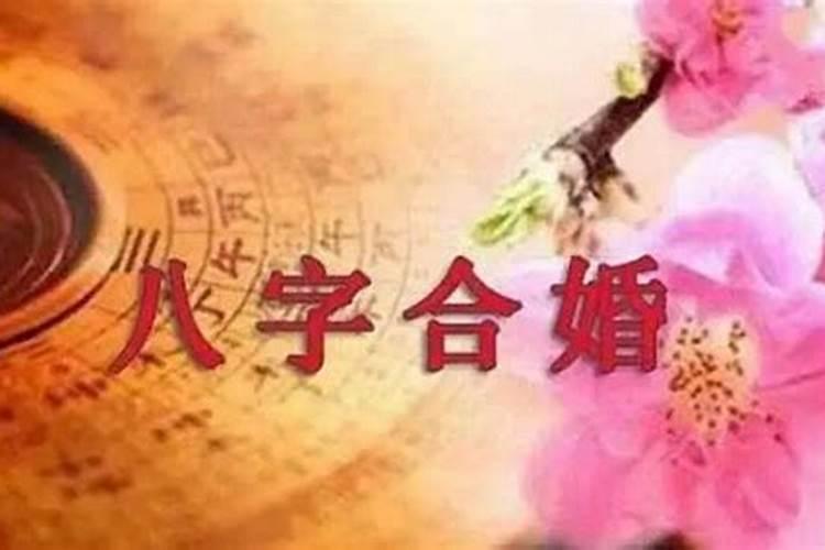 属羊的能不能戴龙的吊坠