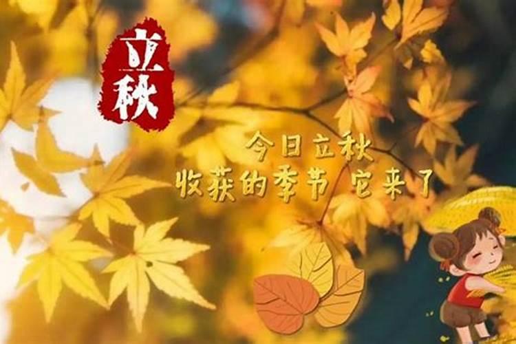 四大吉日天赦日