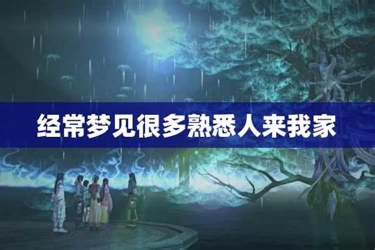属虎的人2025年的运势及运程