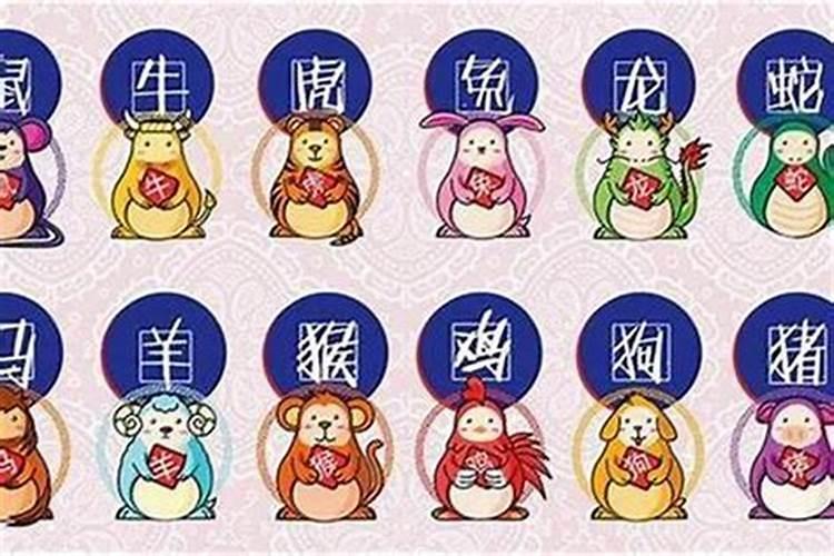 羊生肖今年运势