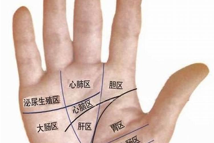 最旺夫的掌纹是什么纹身