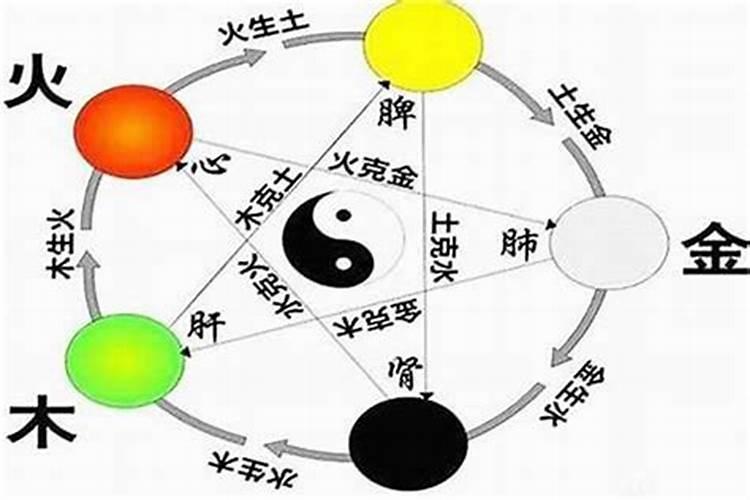 怎么知道自己属于水土金木