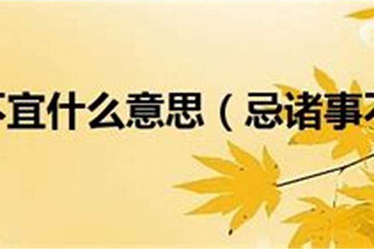 二月二算命好吗