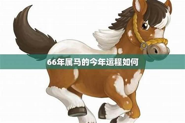 66年属马人2025年全年运势