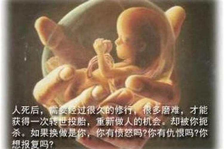 2025年属猪女1971年出生的运势