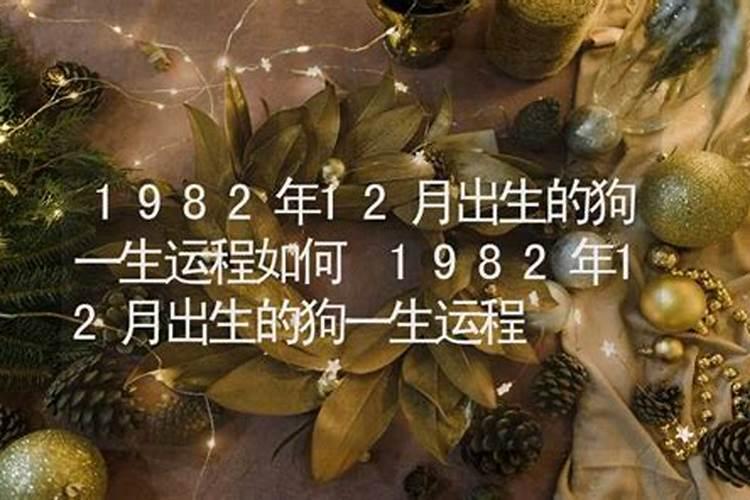1982.12.10出生的运程咋样？