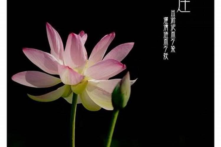算命一般问什么问题