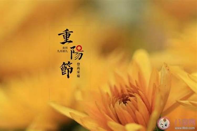 关于重阳节的介绍