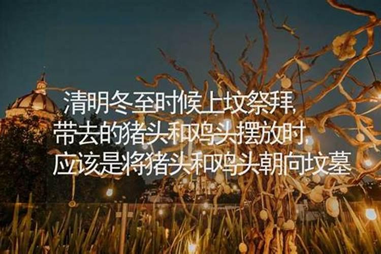 十种旺财又旺宅的植物