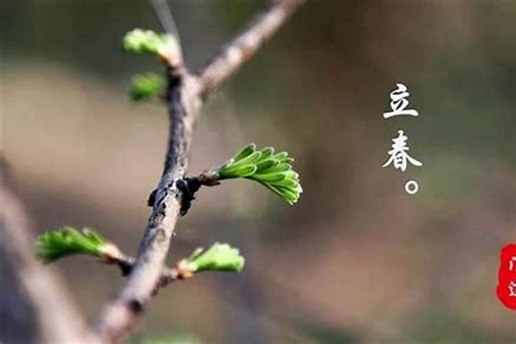化解太岁最简单的方法民间传统四种破解法