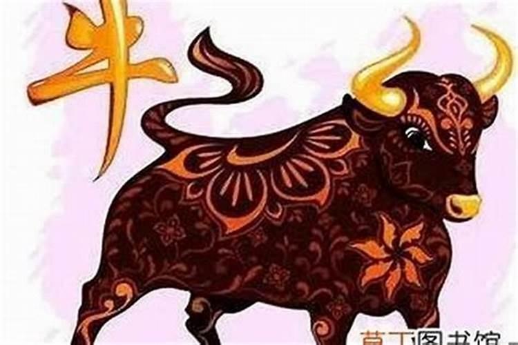 为何属牛的不怕本命年 有什么说法？