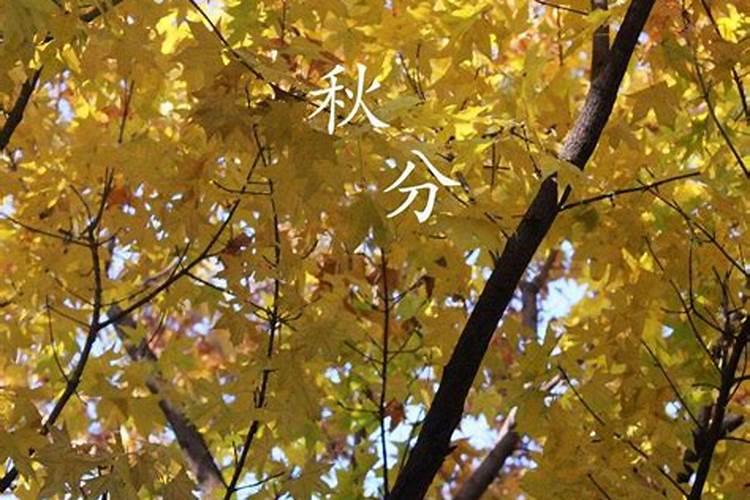 秋分节气的含义 秋分的传统习俗