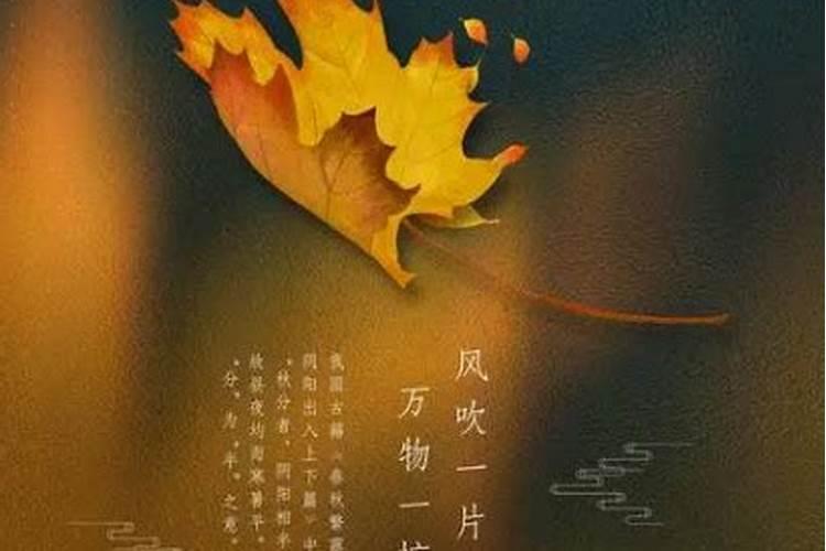 秋分有什么忌讳