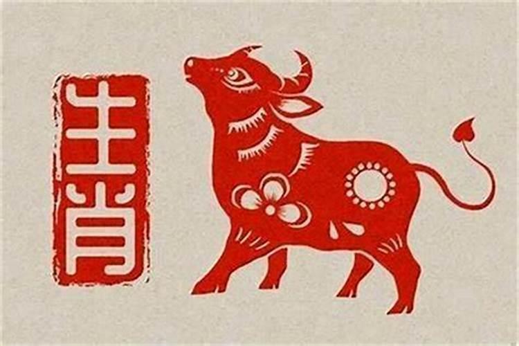 要是出家,是去当和尚的好还是道士？