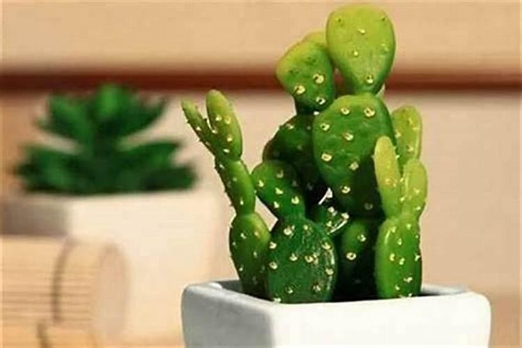 梦见红鲤鱼是什么预兆