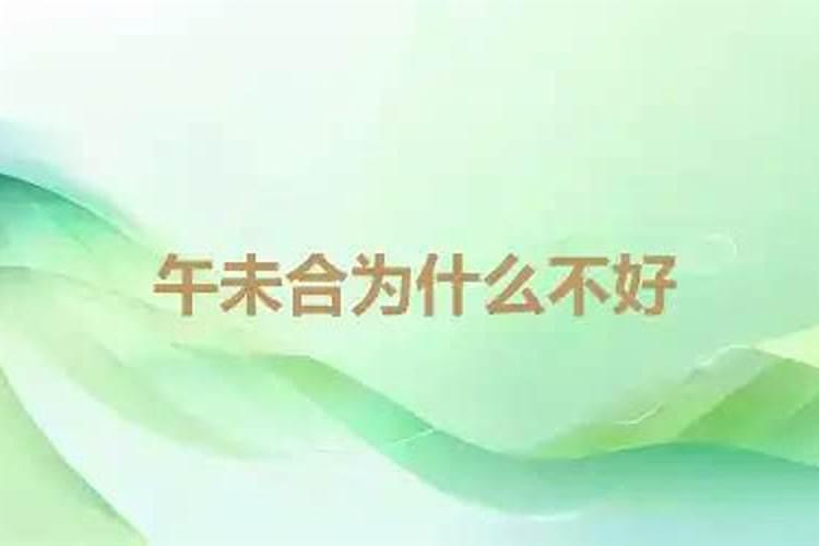 午未合意味着什么