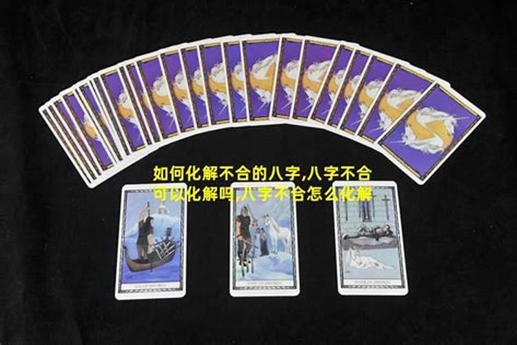 浙江冬至吃什么风俗食物