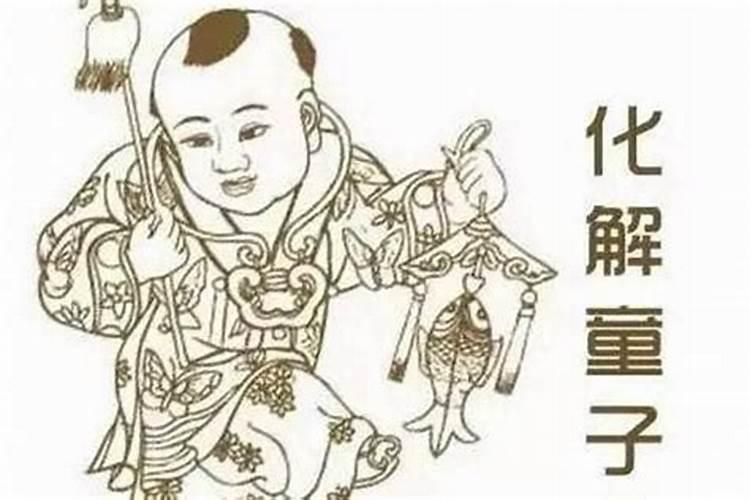 家居家里摆什么花防小人