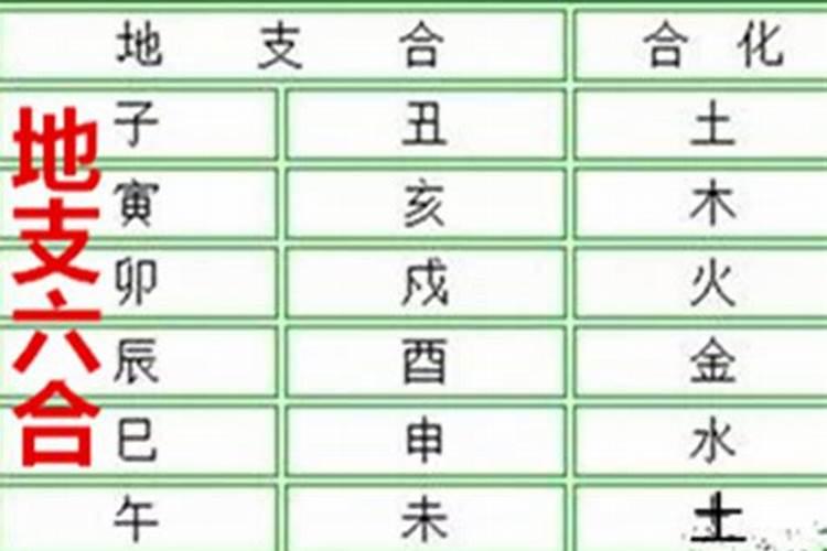 兔和什么八字合 与属兔相合的生肖有哪些
