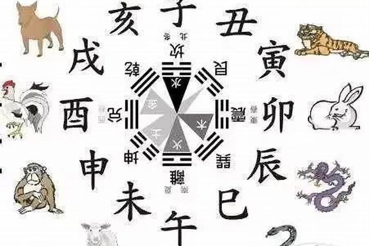 十二属相忌讳出生月份
