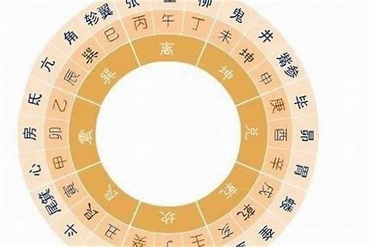 猪年说属蛇犯太岁