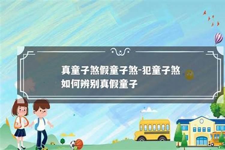 怎么辨别真童子和假童子